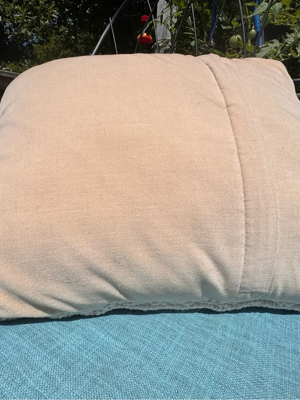 Hand-Hooked Lobster Welcome Pillow - Red Lobster on Cream